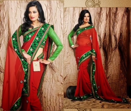 Indian-New-Saree-Women-Fashion-Dresses-2014-6